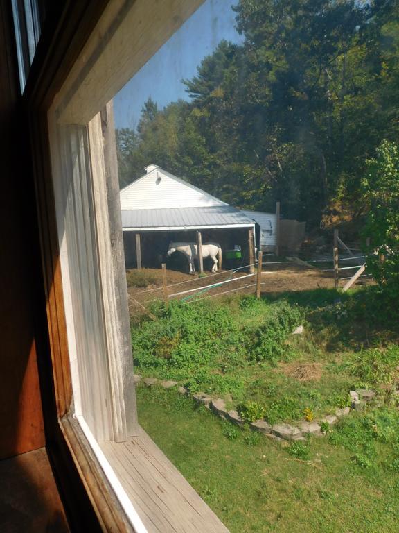 No View Farm Bed & Breakfast Rumford Exterior photo
